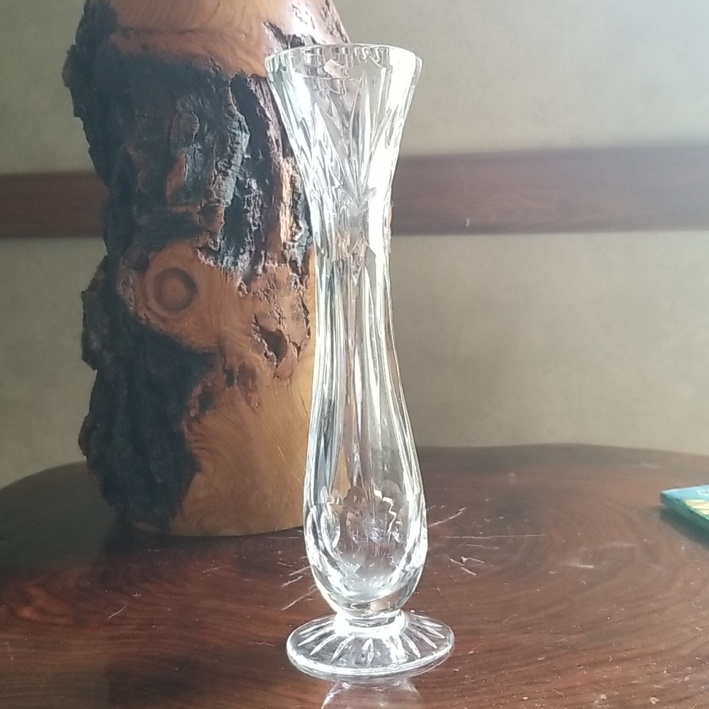 Elegant Clear Glass Vase